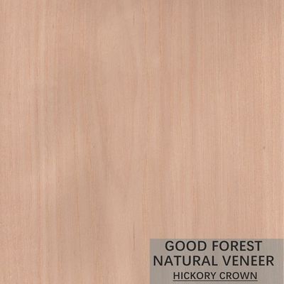 روکش چوب طبیعی Hickory دو رنگ محبوب کابینت روکش چوب FSC