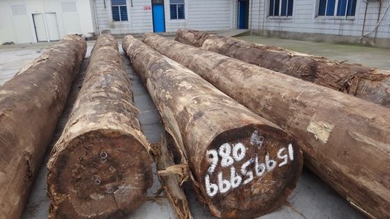 روکش چوب رزوود سانتوس لمینت شده با دانه تاج ضخامت قابل تنظیم 0.15-1.8 میلی متر برای رویه کابینت SZ-254C / 1010C / 1325C