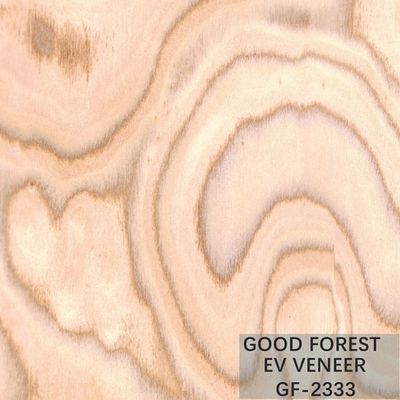روکش چوب مهندسی شده Tree Burl Wood Veneer EV 2500*640 mm
