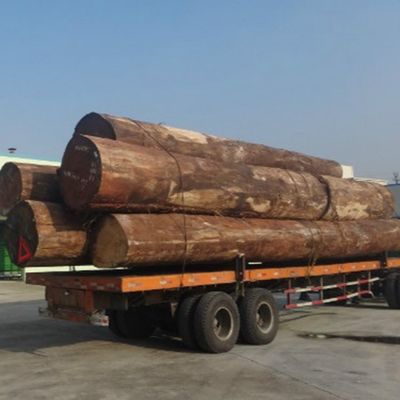 تکنیک های برش برش H86C روکش چوبی مهندسی شده با رنگ زردآلو سفید برای پوشش دیوار