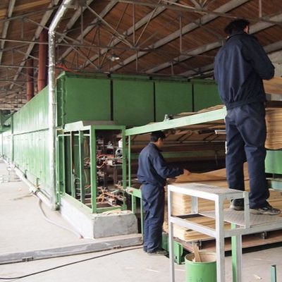 تکنیک های برش برش H86C روکش چوبی مهندسی شده با رنگ زردآلو سفید برای پوشش دیوار