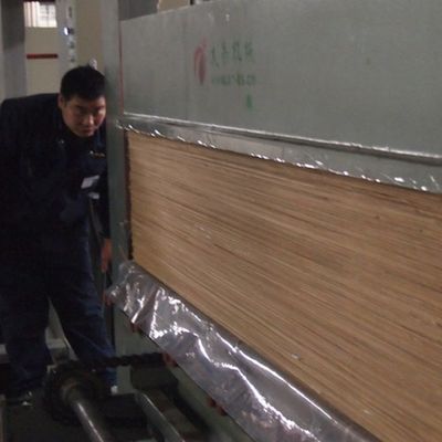 مبلمان چوبی ساخته شده از چوب تاج دانه زردآلو سفید H06C 0.15-0.6 میلی متر پشت پرزدار