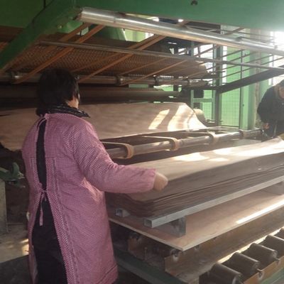 شبیه سازی ورق روکش چوب طبیعی آمریکایی OAK X024N برای ISO درب و پنجره