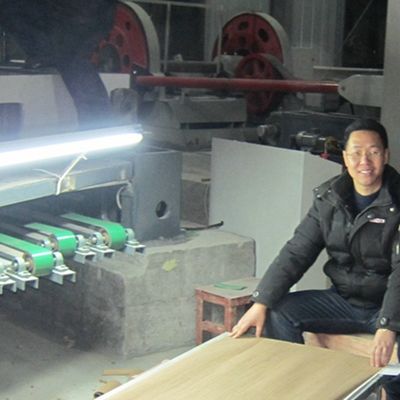 3D Custom Wood Texture Veneer 3DZM-L5.1N Custom Eco-friendly Knot-free for Furniture 0.30mm thickness