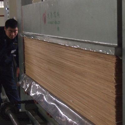 بافت شبکه 2200mm فرنیر بلوط مهندسی شده برای صفحه تزئینی داخلی