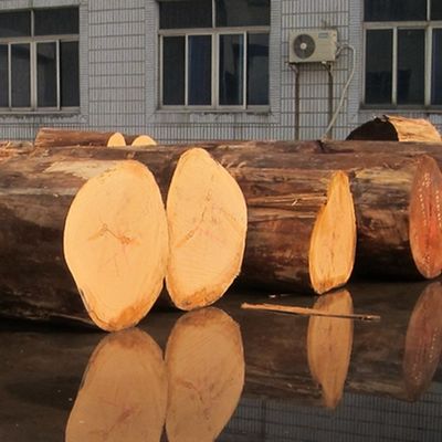 سفارشی شده Recon Elm Wood Veneer Cut Straight And Crown Cut برای کابینت صورت از 2500 * 640 میلی متر
