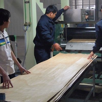 عمده فروشی تجاری FCG-L1.1N فنیر چوبی مهندسی شده با شکل خاص، فنیر چوبی نامنظم عمده برای پروژه های مهندسی و تزئینات