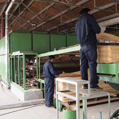 Factory Supply 0.5mm Thickness Engineered Wood Veneer BBGS-L10.0N For Hotel Decoration