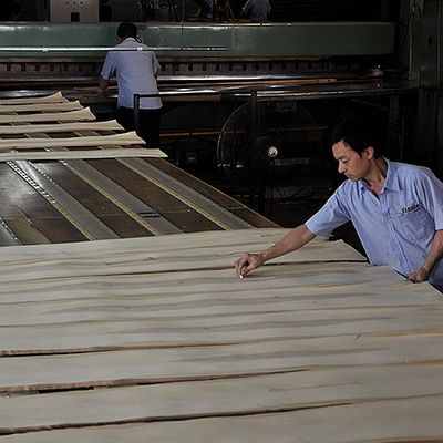 ورق چوبی سفید بلوط سفید آمریکا برش مستقیم برای پانل فانتزی و رنگ بندی شده