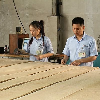 روکش چوب افرا طبیعی آمریکایی Birdseye Maple ضخامت 0.5mm کیفیت خوب برای مبلمان و آلات موسیقی