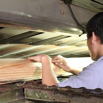 تاج برش مسطح روکش چوب صنوبر طبیعی آمریکایی دو رنگ برای تخته سه لا فانتزی