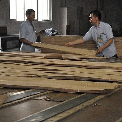 تزئینات روکش چوب گردو طبیعی دانه دانه برل عالی برای ساخت مبلمان درجه یک FSC چین سازنده