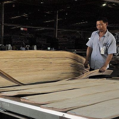 روکش چوبی طبیعی چوب ماهون 2500-3100 میلی‌متری برای پوست درب