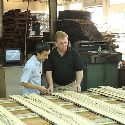 کابینت / درب کنتراست خط سیاه تاج دانه چوب ساج روکش طبیعی 0.15-0.55mm