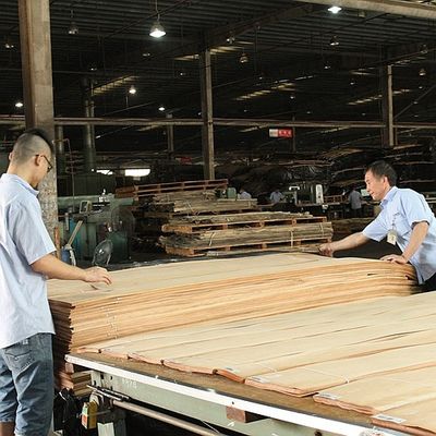 کوتو طبیعی روکش چوب طبیعی برش ربع برش مستقیم دانه پولکی دارای ظرفیت عرضه خوب برای فرآیند رنگرزی