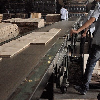 ضخامت 0.5-0.55 میلی‌متر FSC Natural Ash Burl روکش مارپیچی Grain A Grade for Hotel Decoration