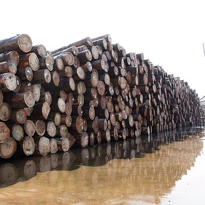 روکش چوبی برش شکل دار Anegre Quarter Cut رنگ مستقیم و یکنواخت برای آلات موسیقی