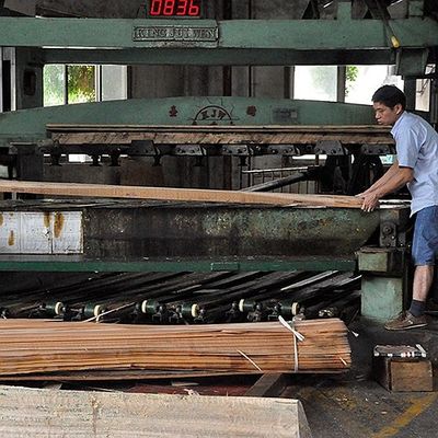 آلات موسیقی 0.5 میلی متری آفریقای طبیعی ماکور روکش چوبی مستقیم با درجه AAA