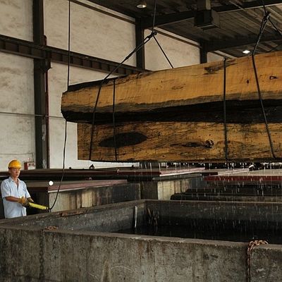 آلات موسیقی 0.5 میلی متری آفریقای طبیعی ماکور روکش چوبی مستقیم با درجه AAA