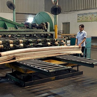 روکش چوب طبیعی کوتو آفریقا یک چهارم برش مستقیم دانه با کیفیت خوب برای فرآیند رنگرزی قابل سفارشی سازی