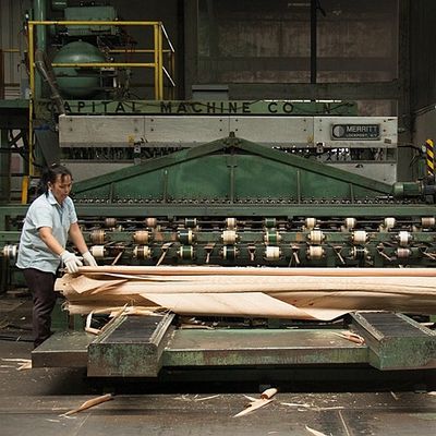 روکش چوبی طبیعی Sapele آفریقای ربع برش مستقیم برای صورت و کفپوش پارکت