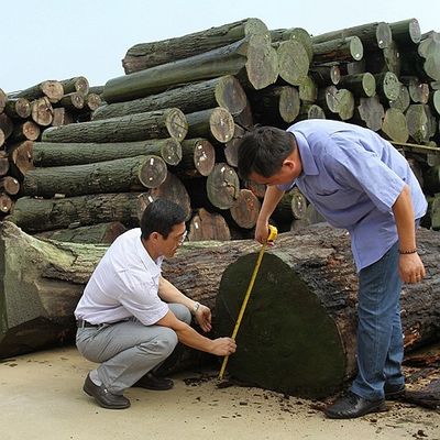 روکش چوب ماهون طبیعی دانه مستقیم برای مبلمان و آلات موسیقی