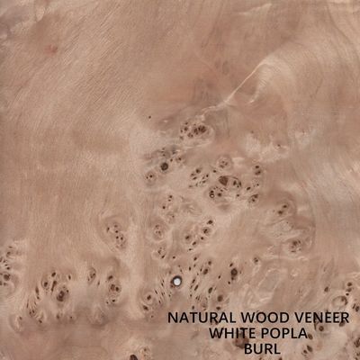 روکش چوب صنوبر طبیعی اروپا Mapa Burl Grain با کیفیت بالا ضخامت 0.5 میلی متر برای ساز موسیقی