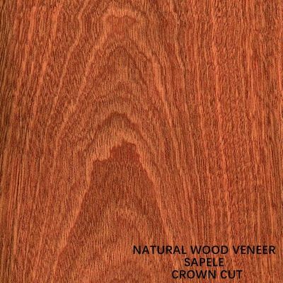 پانل و درب آفریقای طبیعی Sapele چوب روکش برش تخت تاج دانه درجه AAA