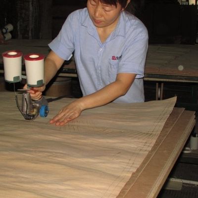 Fancy Maple Burl Plywood / Mdf / Particle Board 2440/2745mm برای درهای داخلی درجه E0/E1/P1/P2 سازنده