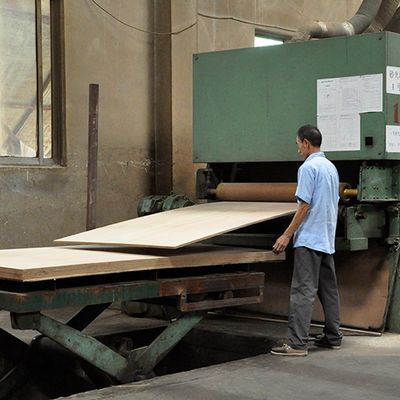 پانل های تزئینی مستقیم با روکش چوب طبیعی سنجد با رنگ تخته خرده چوب Mdf رایگان برای مبلمان