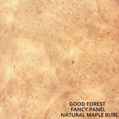 Fancy Maple Burl Plywood / Mdf / Particle Board 2440/2745mm برای درهای داخلی درجه E0/E1/P1/P2 سازنده