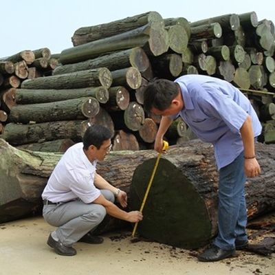 سفارشی سازی شده چوب فرنیر رنگی ابری X2391 بافت نامنظم 2500 * 640 اندازه طبیعی برای تزئینات