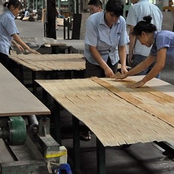 طراحی جدید از فانتزی ترکیب شده سیگار کشیدن اکوالیپتوس چوبی SWE-L343C / L439C 2500 * 640mm برای طراحی درب چوبی