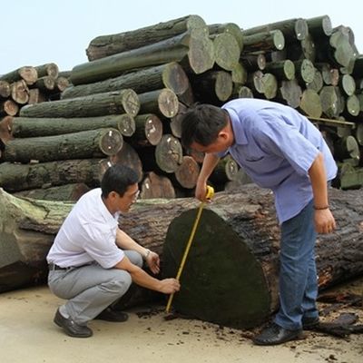 طرح جدید روکش چوب سدر مصنوعی FCW-L146N/L246C با تکنیک برش اسلایسی 2*8 اینچ برای نمای کابینت