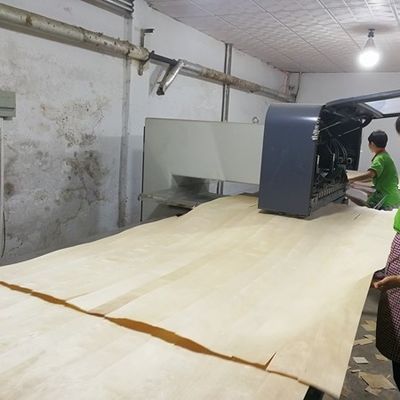 رنگ روشن سه بعدی برای درب ها و پنجره ها