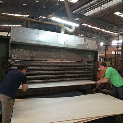 Roman RN-X8092C دانه تاج بافت نامنظم 2500-3100mm طراحی درب چوب مدرن