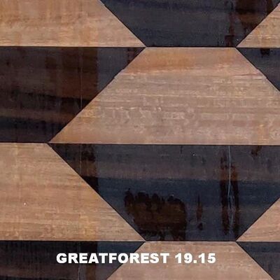 روکش چوب پارکت هنری حس زیباییشناختی هندسی شکلهای هندسی محبوب ضخامت 0.50 میلیمتر برای درب چوبی