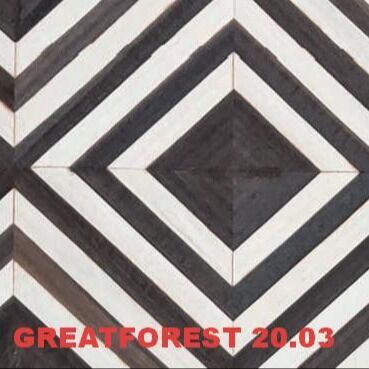 پارکت هنری چوبی فنیر دست ساز سبک مدرن مینیمالیستی سفارشی سازی هنری برای داخلی ماشین