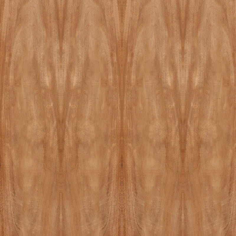 اندازه استاندارد 2440*1220mm برای کابینت درب FSC روکش چوب ماهون طبیعی آفریقا