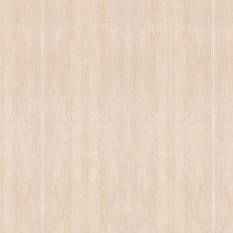 روکش طبیعی چوب افرا روکش استاندارد 2440*1220 برای مبلمان و کابینت کارخانه چین ایزو