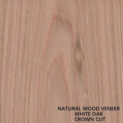 روکش چوب بلوط طبیعی آمریکایی با برش تخت تاج برش دانه دانه AAA ضخامت 0.5-0.55 میلی متر برای صورت کابینت چین