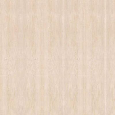 روکش طبیعی چوب افرا روکش استاندارد 2440*1220 برای مبلمان و کابینت کارخانه چین ایزو